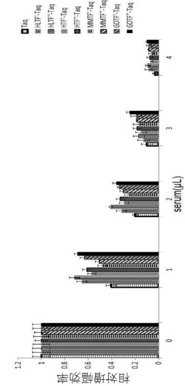 6894926-改変されたトランスフェリンのＤＮＡ結合ドメイン、組み換えＤＮＡポリメラーゼ及び調製方法 図000004