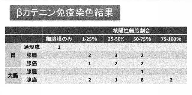 6963271-イヌの遺伝性消化管腫瘍症の遺伝子診断法 図000004