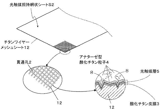 6972036-光触媒担持網状シート、空気清浄機、及び光触媒担持網状シートの製造方法 図000004