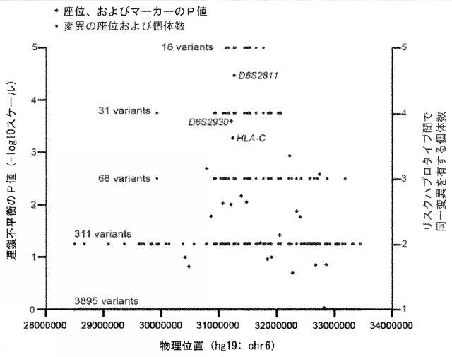 6979582-変異型蛋白質、及び該変異型蛋白質を発現し円形脱毛を発症する遺伝子改変マウス 図000004