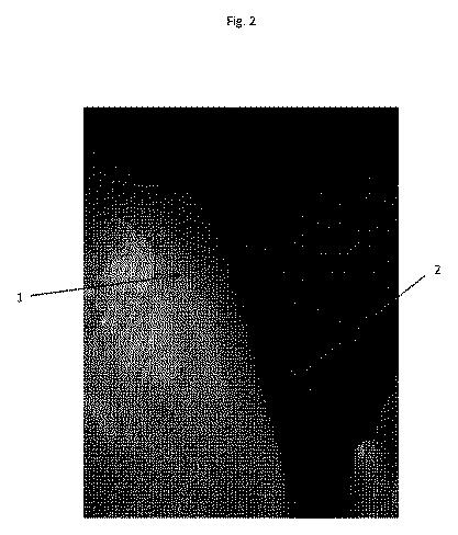 6979766-毛髪の色素形成のための組成物の使用 図000004