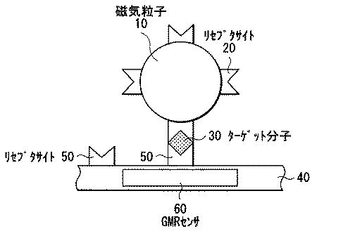 5654193-ＧＭＲセンサストライプ、ＧＭＲセンサストライプアレイおよびそれらの形成方法 図000005