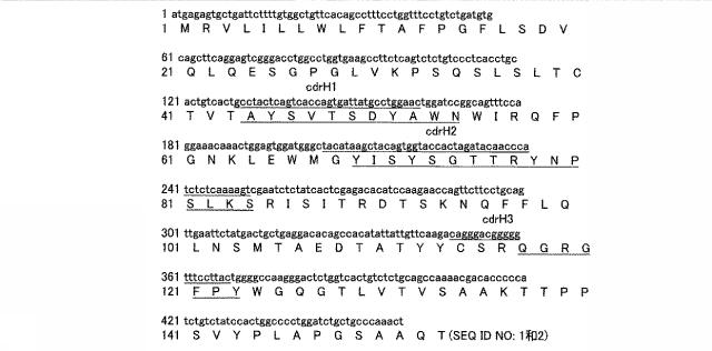 5680087-特異的結合タンパク質およびその使用 図000005