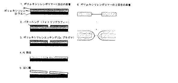 5683216-標的物質の検出方法及び装置 図000005