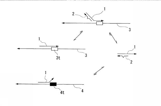 5687414-多型の識別方法 図000005