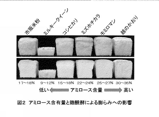 5713255-麹等カビによる前発酵工程を含む米粉パンの製法 図000005