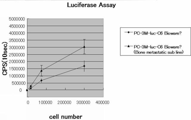 5787430-高骨転移性前立腺がん細胞株の作製方法 図000005