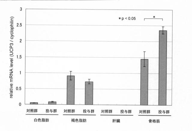 5800327-脱共役タンパク質発現誘導剤 図000005