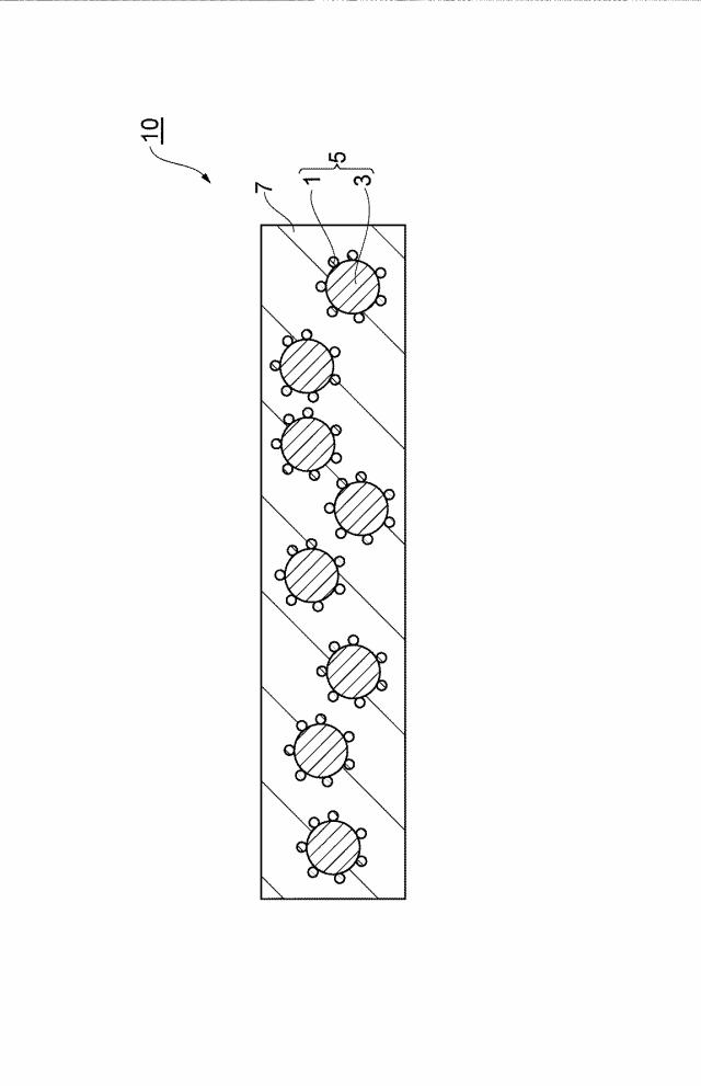 5834548-絶縁被覆導電粒子及び異方導電性接着フィルム 図000005