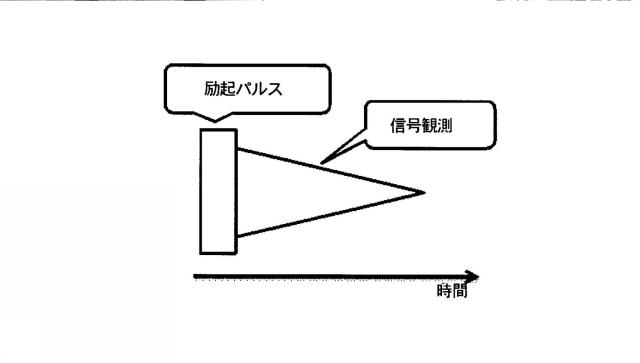 5882978-測定装置及びデータ処理方法 図000005