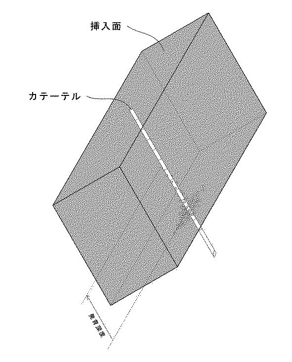 5954640-感染評価系モデル 図000005