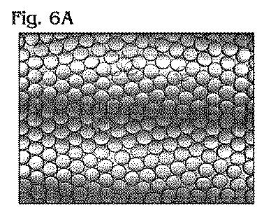 5963683-カプセル化された小滴に関するエマルジョンの化学およびアッセイ 図000005