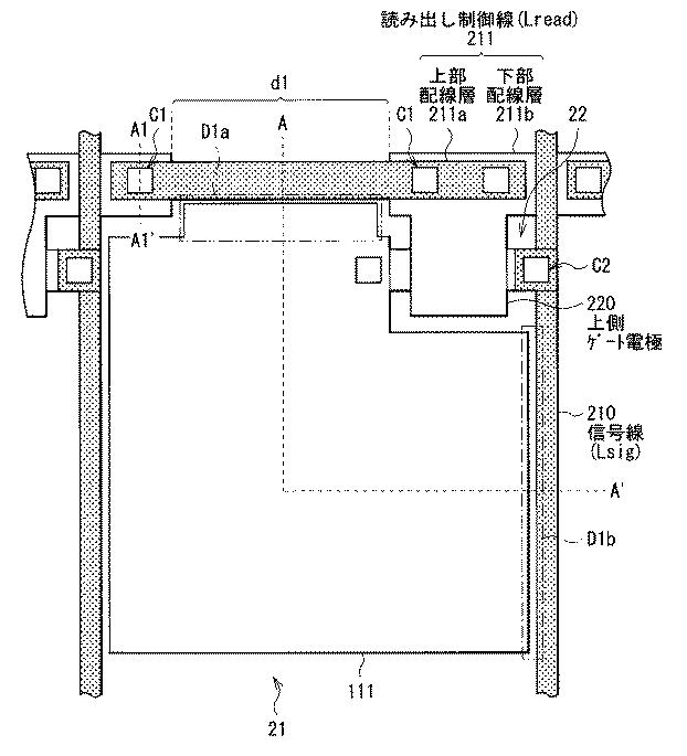 5974654-撮像装置および撮像表示システム 図000005