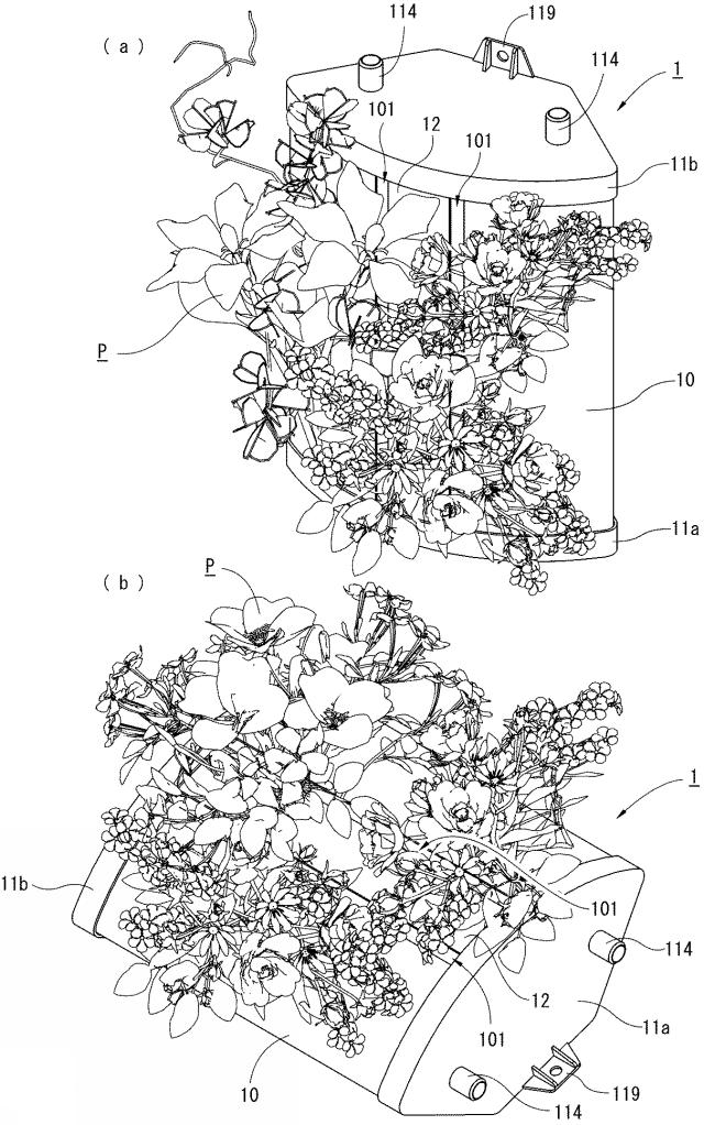 6083073-プランター、プランターの製造方法、プランターを用いた植栽方法、プランター装置、および、プランター装置を用いた植栽方法 図000005