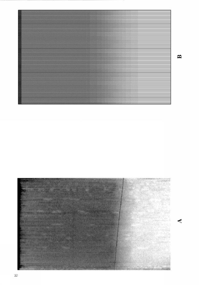 6100436-触媒成分で基材をコーティングする方法 図000005