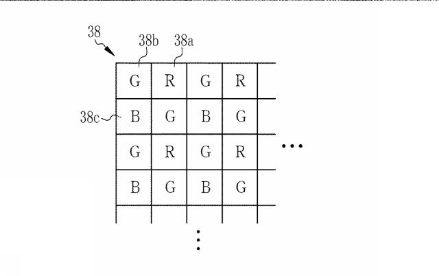 6203127-内視鏡用光源装置及び内視鏡システム 図000005