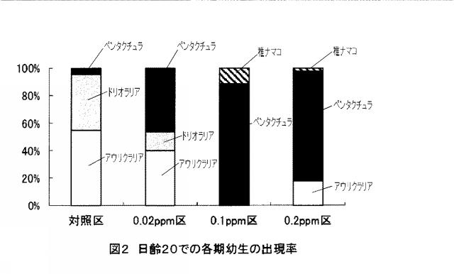 6216946-リゾチームを用いた介類浮遊幼生飼育方法 図000005