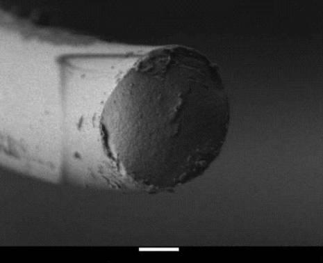 6228461-無機繊維及びその製造方法 図000005