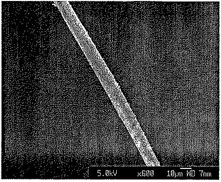 6243880-凝集物の製造方法 図000005