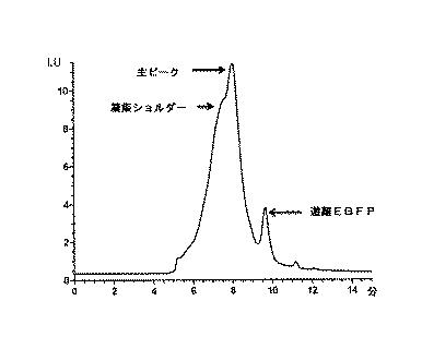 6251170-安定したタンパク質 図000005