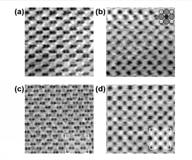 6252099-走査透過電子顕微鏡システム、画像処理装置、画像処理方法、および画像処理プログラム 図000005