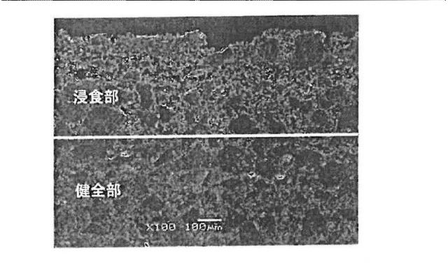 6253554-複合耐火物およびその製造方法 図000005