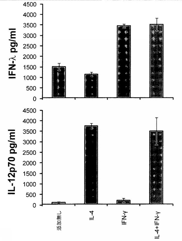 6263559-従来型樹状細胞によるＩＦＮ‐ラムダの産生及びその使用 図000005