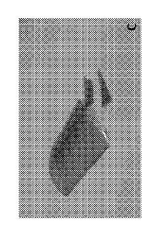 6392366-量子ドットポリマー膜を作製する方法 図000005