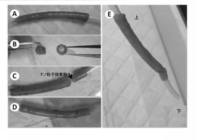 6437552-組織表面及び材料を接着する方法、並びにその生物医学的使用 図000005