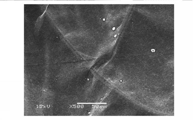 6463644-生物繊維膜及びその製造方法 図000005