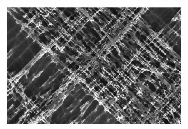 6492125-単一分子を検出する方法 図000005