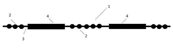 6501277-こぶ部を有する紐 図000005