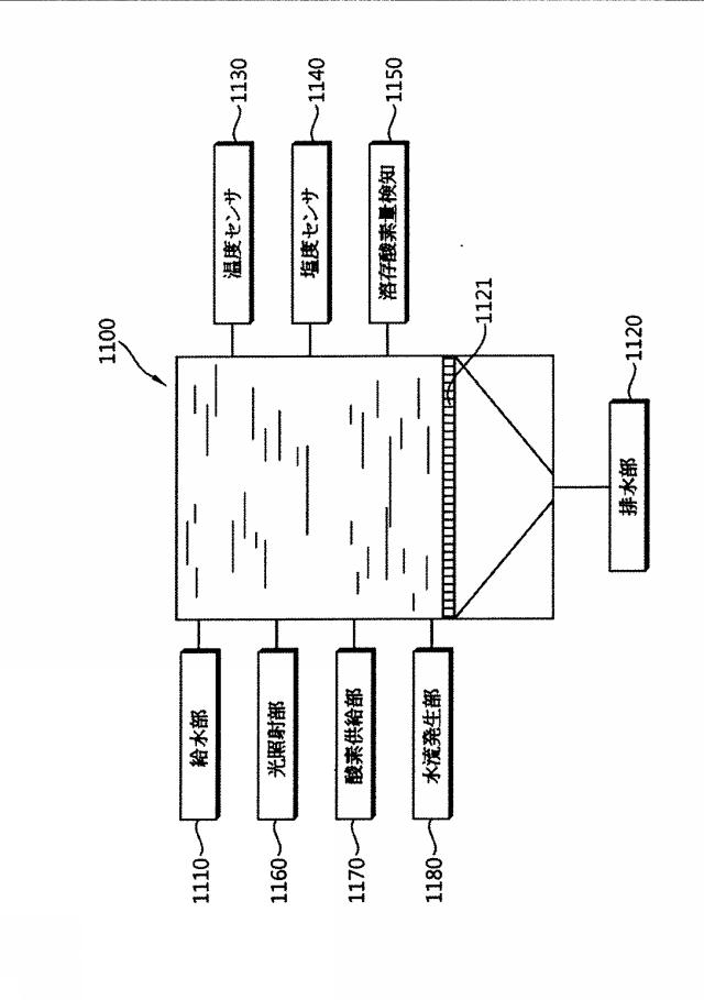 6556944-水力発電装置及び水流を利用した発電施設 図000005