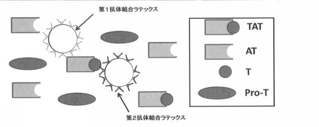 6594641-トロンビン・アンチトロンビン複合体の測定試薬及び測定方法 図000005