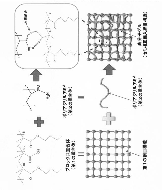6608160-高分子ゲル及びその製造方法 図000005