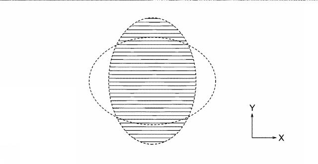 6609917-蛍光光源用発光素子の製造方法 図000005