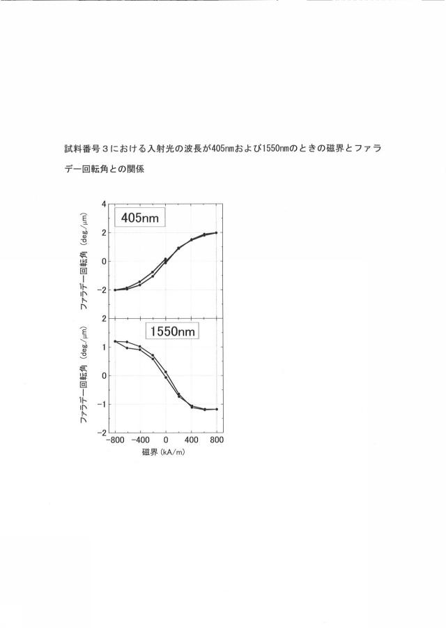 6619216-透光性磁性体 図000005