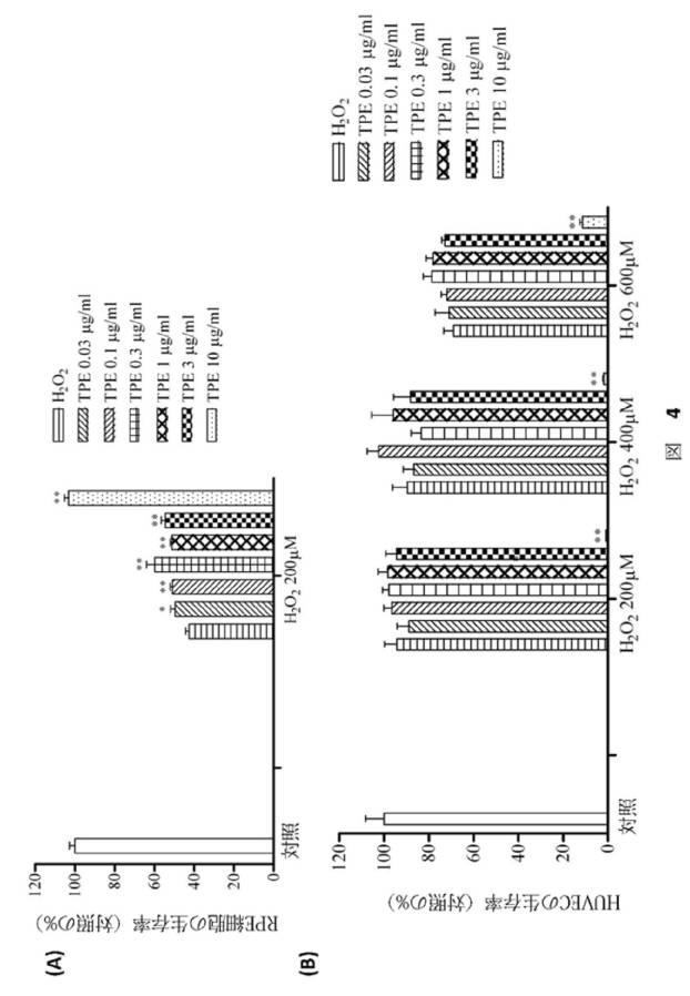 6643365-眼疾患を治療するためのタイワンプロポリス抽出物 図000005