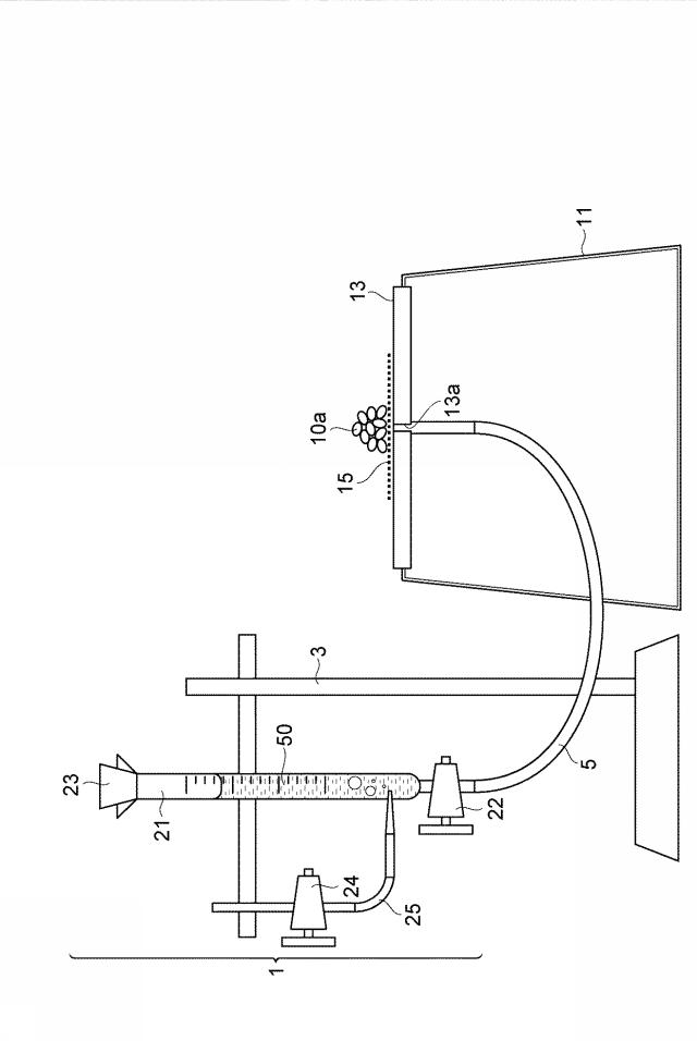 6752320-吸収性物品及びその製造方法 図000005