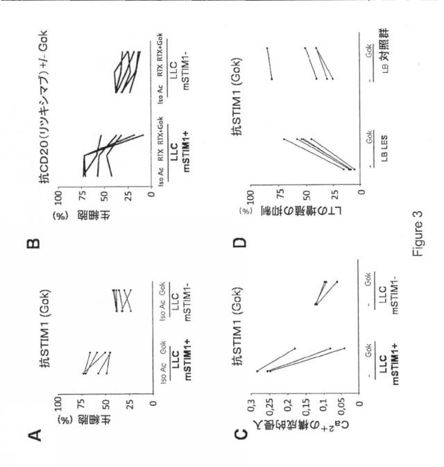 6754751-膜ＳＴＩＭ１を用いた化合物のスクリーニング方法 図000005