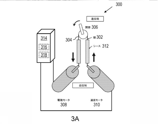 6761051-内視鏡用システムの構成要素 図000005