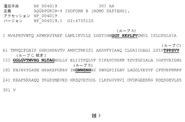 6764790-視神経脊髄炎の治療に対する高可溶性アクアポリン−４細胞外ループペプチド免疫化 図000005