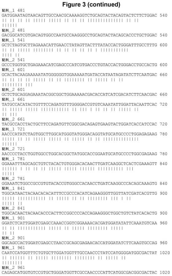 6808842-ＦＧＦ２１応答性レポーター遺伝子細胞株 図000005