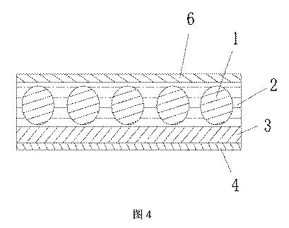 6830445-光反射発光膜、その製造方法及び利用 図000005