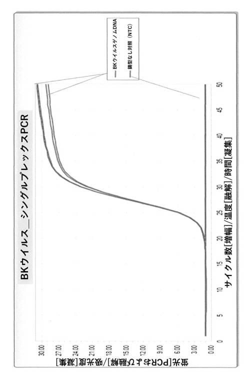 6858876-ＢＫウイルスの検出のための組成物および方法 図000005