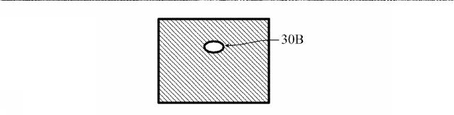 6863558-異物検査方法及び装置 図000005