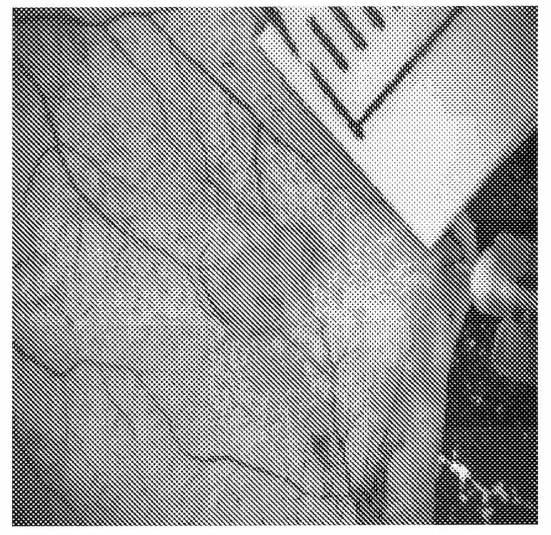 6883627-血液を含む組織の画像形成装置 図000005