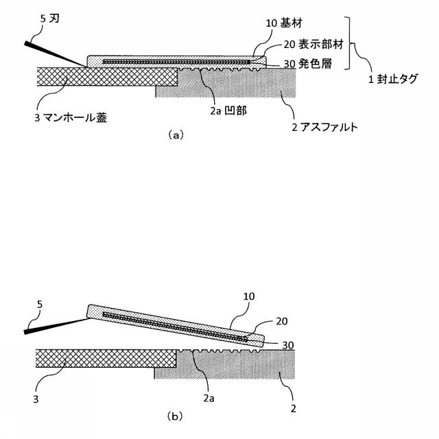 6976210-封止タグ及びその製造方法 図000005