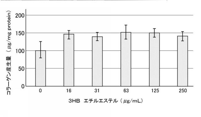 6979918-ヒト老化細胞賦活剤 図000005