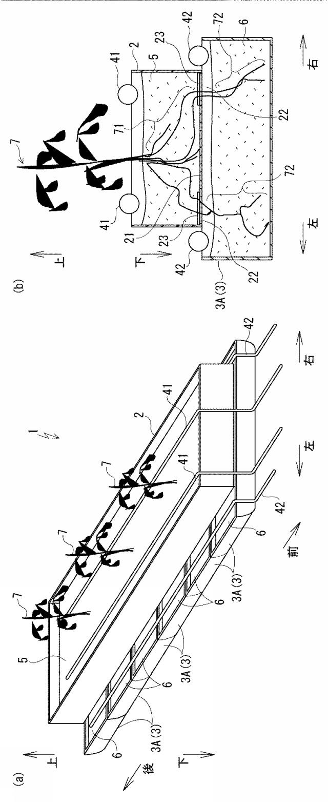 5668249-栽培容器、及び高糖度のトマトの栽培方法 図000006